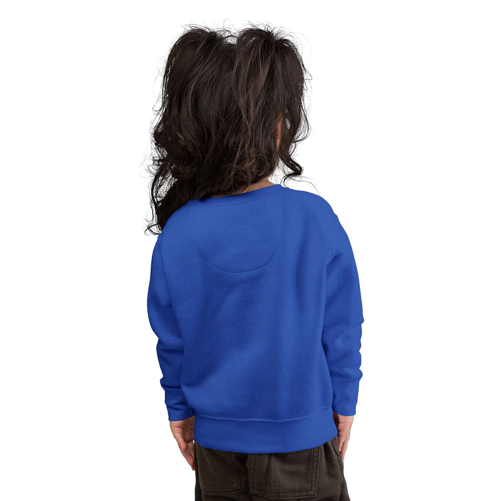 Toddler Sweatshirt