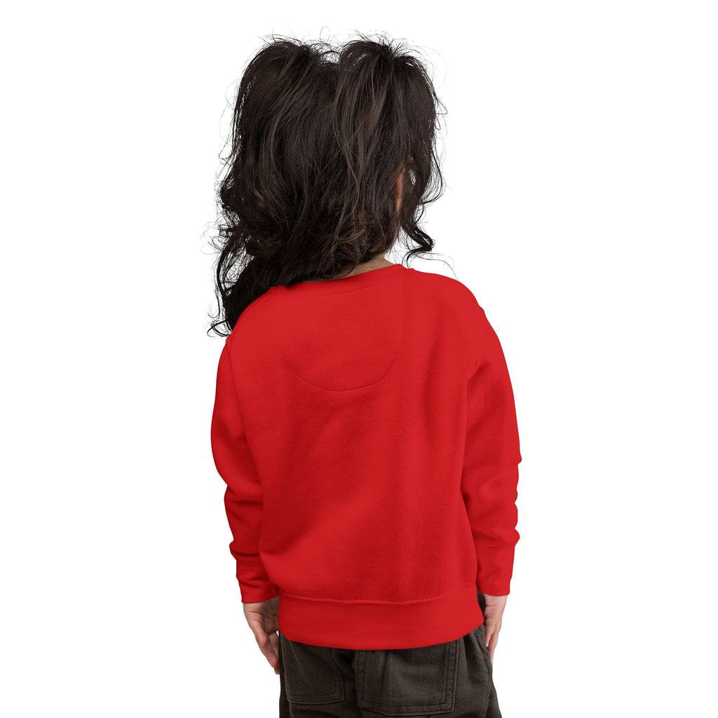 Toddler Sweatshirt